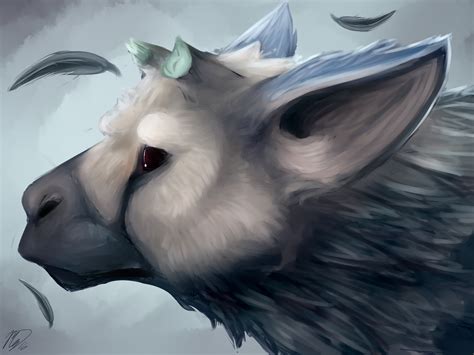 Trico by Mollish on DeviantArt