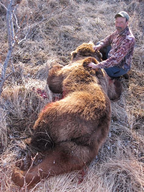 Alaska Brown Bear Hunting - Guided Bear Hunts on the Alaska Peninsula