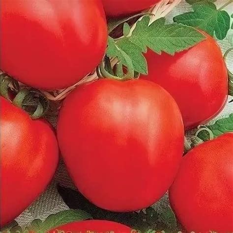 Томат Детская сладость семена - низкая цена, описание, отзывы, продажа.