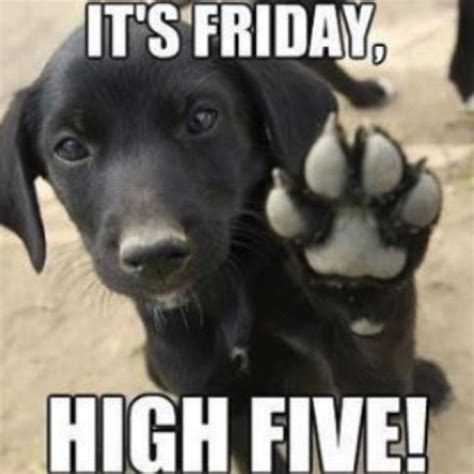 Friday Memes: 15 Memes to Put You in the Best Mood Ever — Best Life