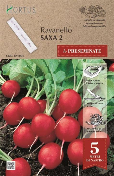 Seme na traku Redkvica Saxa | semina