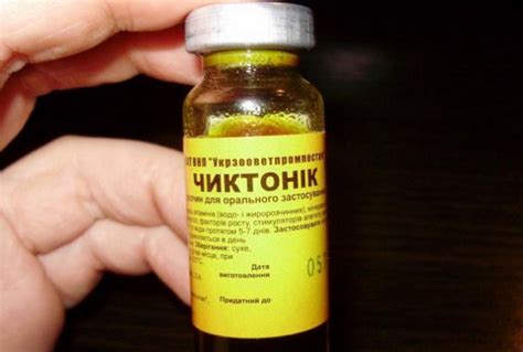 Чиктоник: инструкция по применению для сельскохозяйственных животных