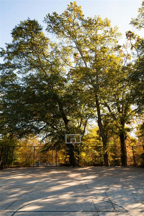 Pictures+Of+Erect+Nipples Photos, Download The BEST Free Pictures+Of