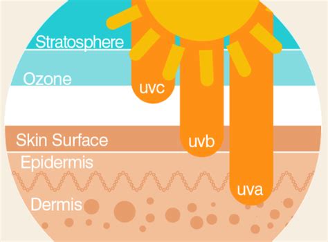 All About UV Rays | Apothekari Skincare
