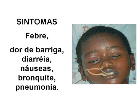 BIOLOGIA: Verminoses