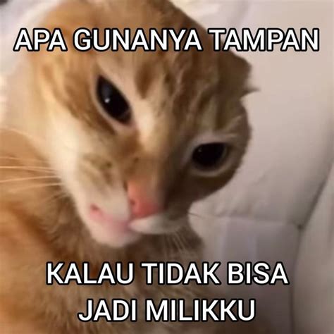uwwu header twitter lucu komentar lucu emoji lucu