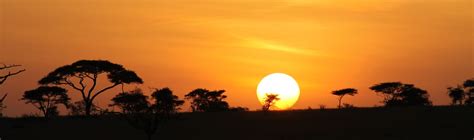 Visite Parque Nacional Serengeti em Tanzânia | Expedia.com.br