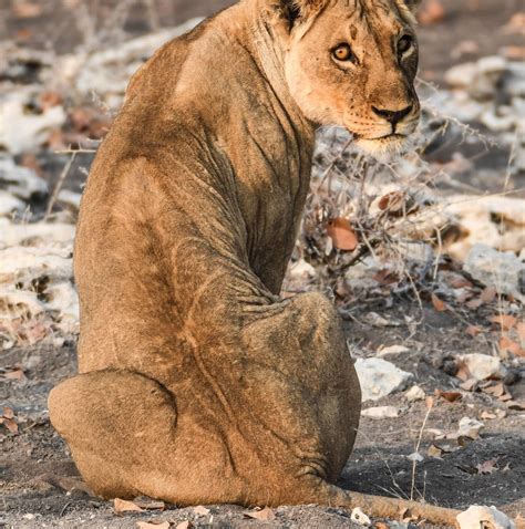 10 Best Namibia Tours & Trips from Windhoek - TourRadar