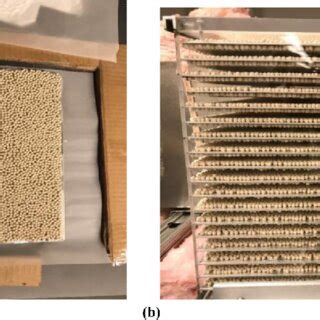 plates  coated  zeolite beads   monolayer  coated beads