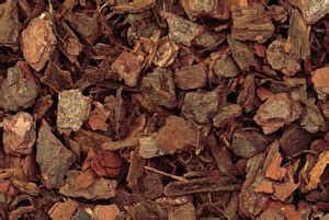 nugget bark nature perfect bark