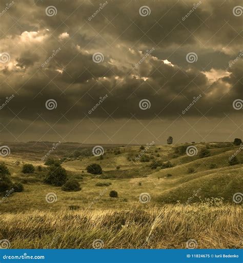 cold summer stock image image  wind grass horizon