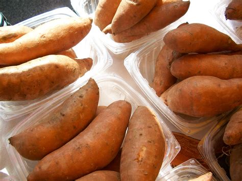 Fotos gratis : comida, ingrediente, Produce, vegetal, Fresco ...