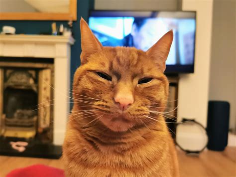 Device disconnected : r/OneOrangeBraincell