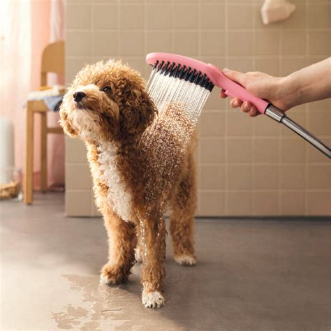 dogshower shower brassware