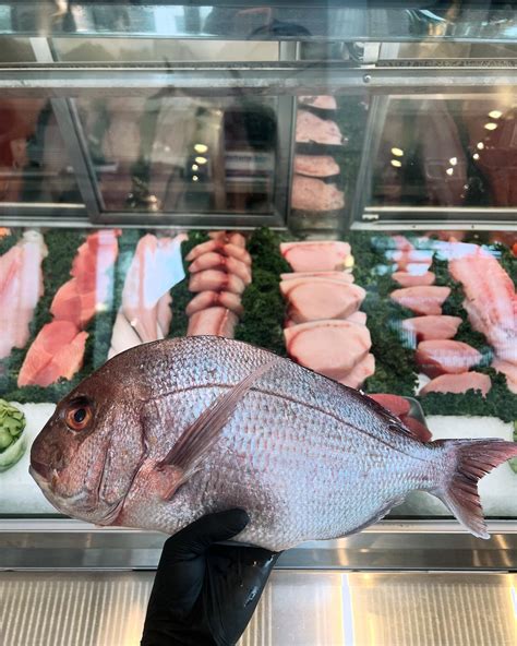 Bear Flag Fish Co. | Many men… fish head upon me 🎣 #fishinglife #