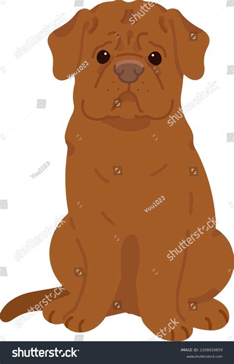 Simple Adorable French Mastiff Illustration Sitting Stock Vector ...