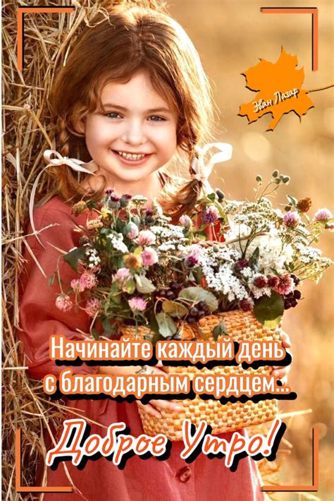 доброе утро красивые картинки открытки