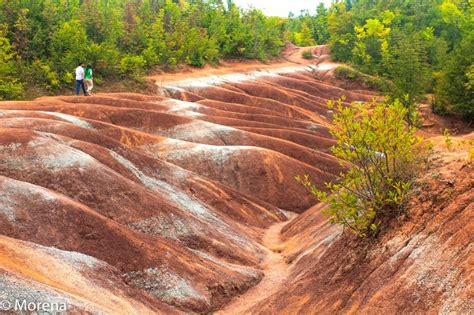 Cheltenham Badlands | Cheltenham badlands, Canada travel, Badlands