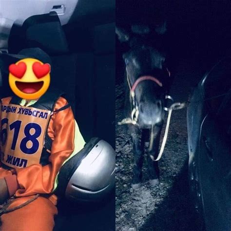 ТӨӨРСӨН УНААЧ ХҮҮГ ХАМГААЛАЛТАД АВААД БАЙНА