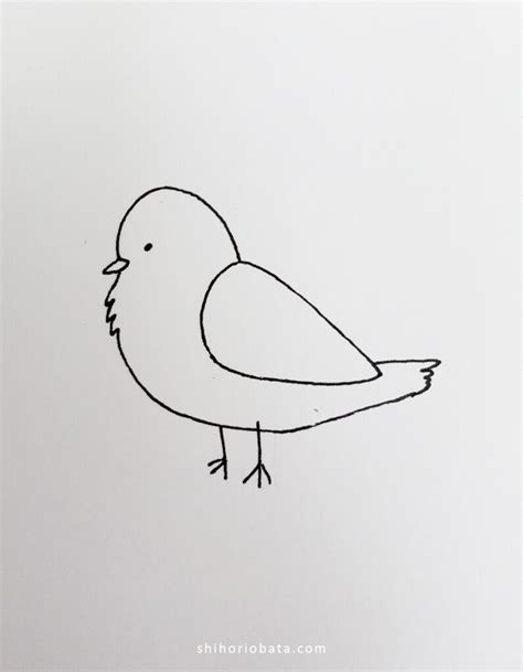 13 Easy Bird Drawings to Draw