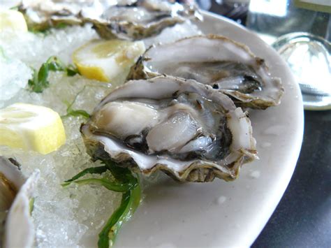 Oysters Here, Oysters There - Cornichon.org