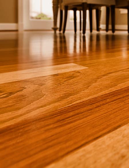 The Pros and Cons of Eucalyptus Flooring (2024) | Today's Homeowner