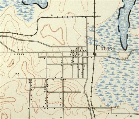 Map of Citra, 1893, Florida