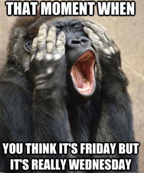 Wednesday Memes - Funny Happy Wednesday Images