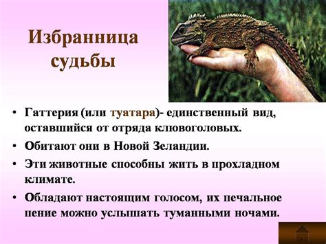 Пресмыкающиеся - Презентации по биологии