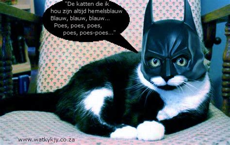 Juffrouw, waarom is uw Poes zo Blauw? | Watkykjy
