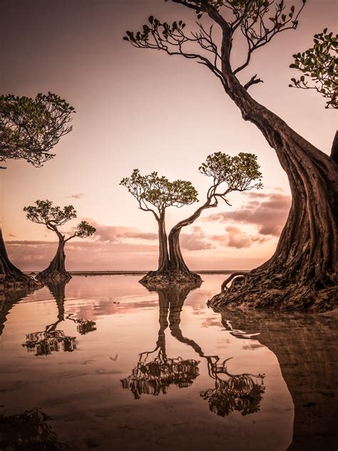 Award Winning Landscape Photography