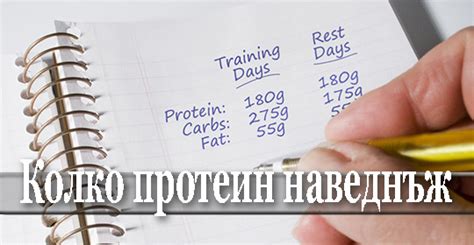 Протеин-Видове Протеини