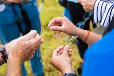 Rspb 365 Outdoor Activities You Have To Try Dk Rspb 2
