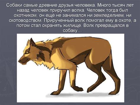 Моя собака - презентация онлайн