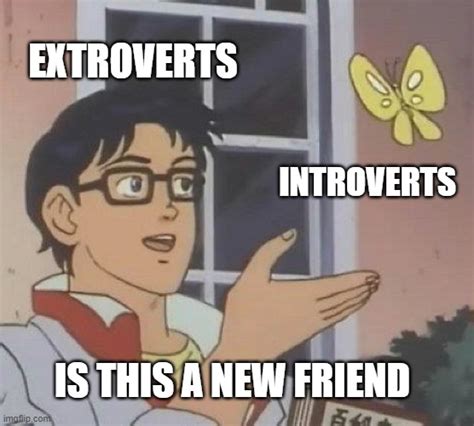 Introverts don't make friends they get adopted by extroverts - Imgflip