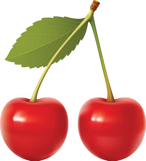 cherry PNG image