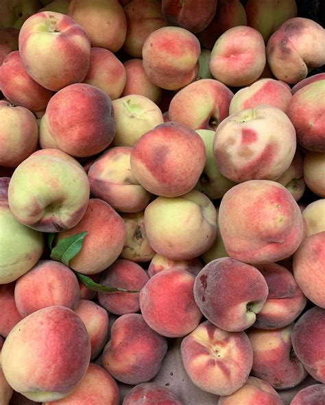 Park Update- Nature Center🐢 The Nature Center trails will be closed