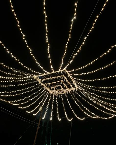 Brooklyn Jade🎱 (@s.a.l.t.y) • Instagram photos and videos