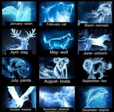 Pin by Yo salu2 on Harry Potter | Harry potter zodiac, Harry potter ...
