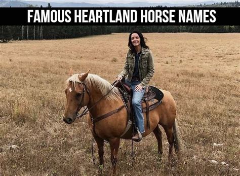 60+ Heartland Horse Names (A List of Regional Inspiration)