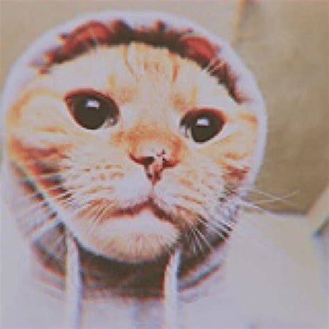 Боря (bbbooorrryyyaaa) Lyrics, Songs, and Albums | Genius