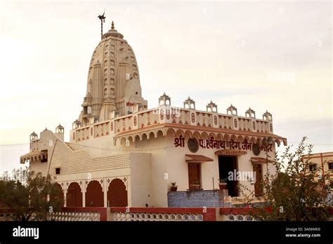 temple parshwanath digambar jain mandir neemuch madhya pradesh india
