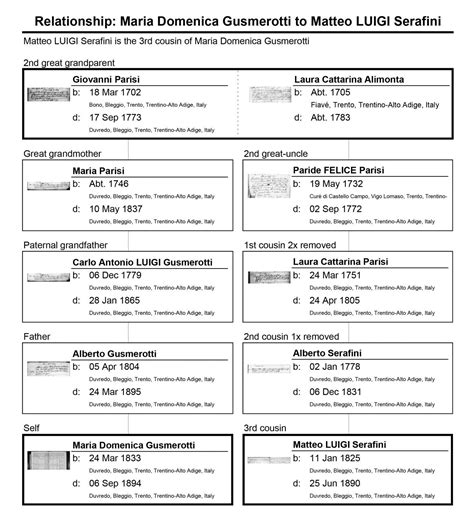 Kissing Cousins: Marital Dispensations, Consanguinity, Affinity