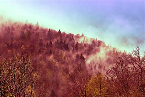 Kupres Mountain Bosnia And - Free photo on Pixabay - Pixabay