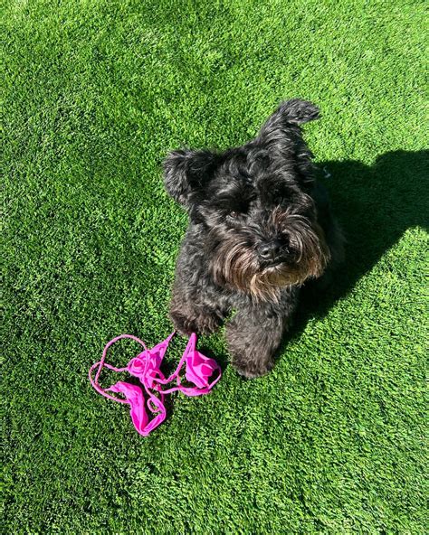 Jenna Lee and Kaitlynn Anderson Play Mechanic In Tiny Bikinis