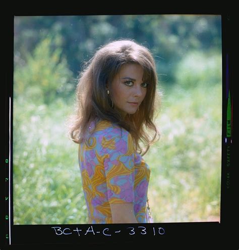 Bob & Carol & Ted & Alice (1969)