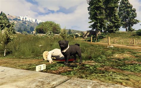 Поиск кактусов пейот в GTA V | GTA RiotPixels