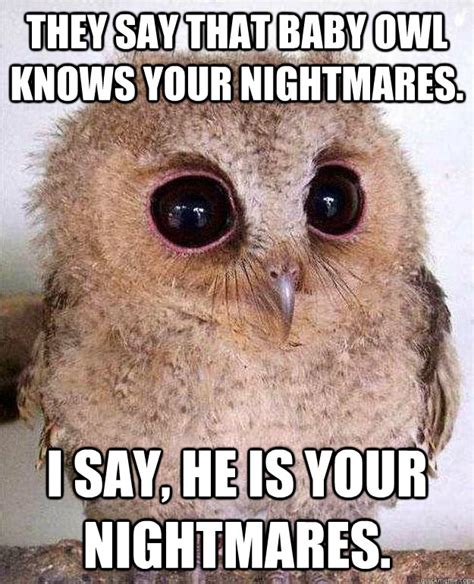 They say that Baby Owl knows your nightmares. I say, he is your ...