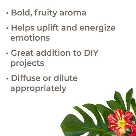 Tropical Passion Essential Oil Blend – Plant Therapy