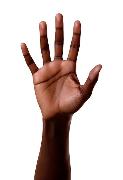 black hand open psd high quality  psd templates   freepik